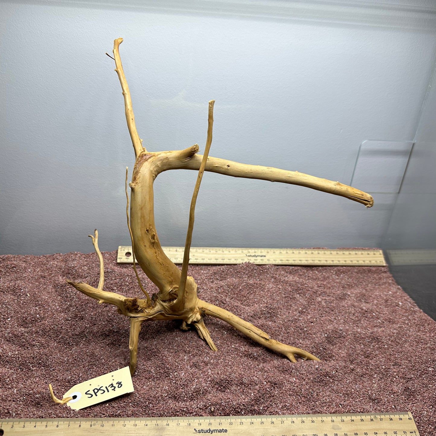 Spiderwood (Small)
