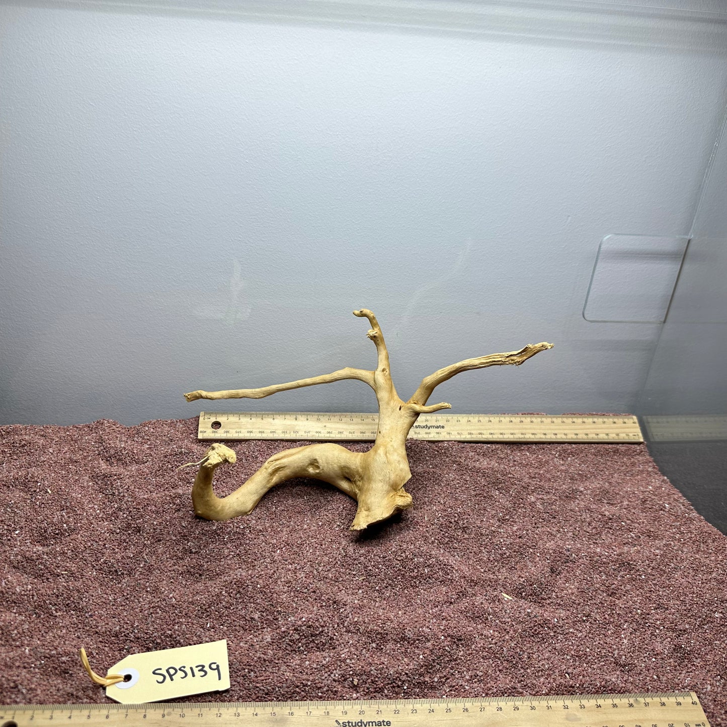 Spiderwood (Small)