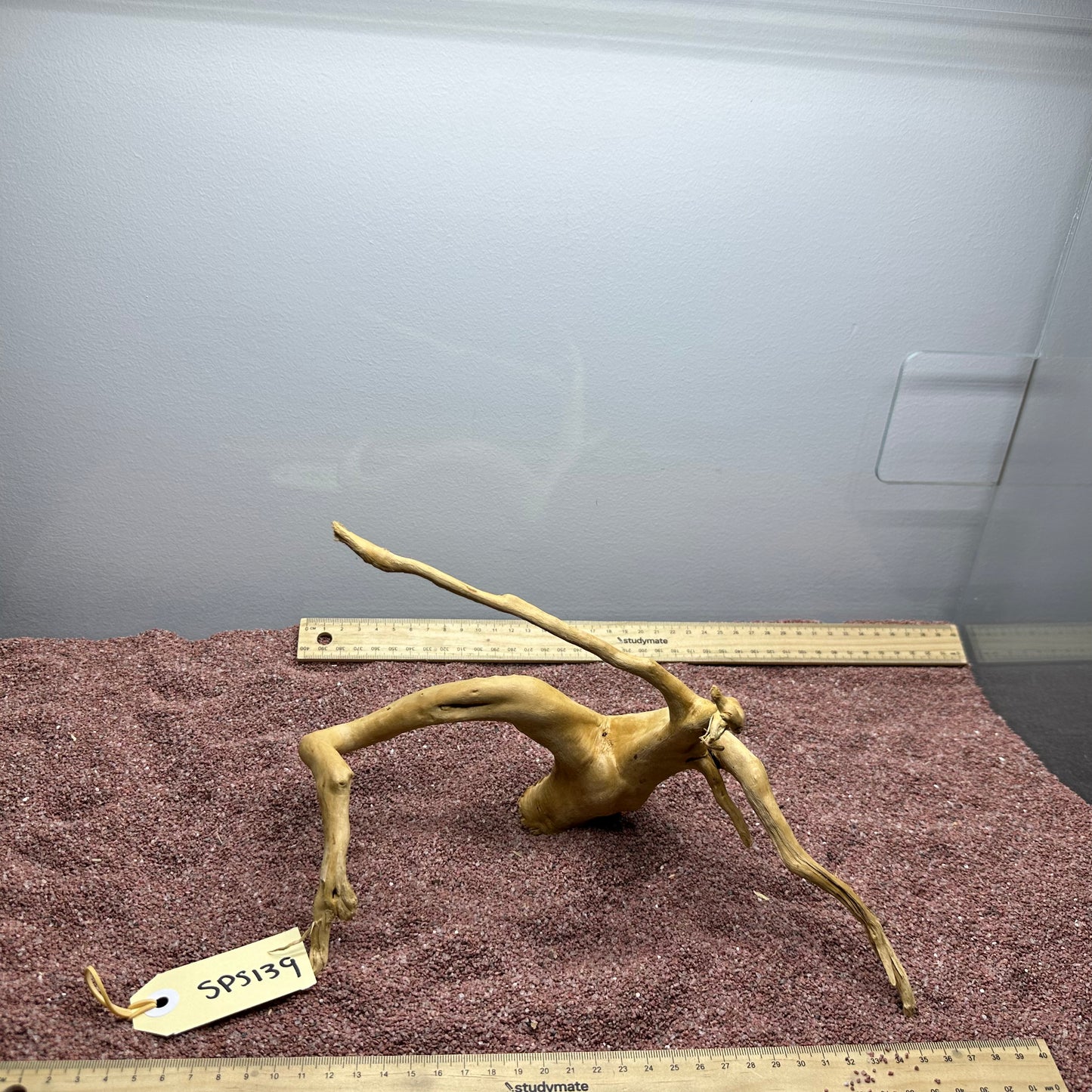 Spiderwood (Small)