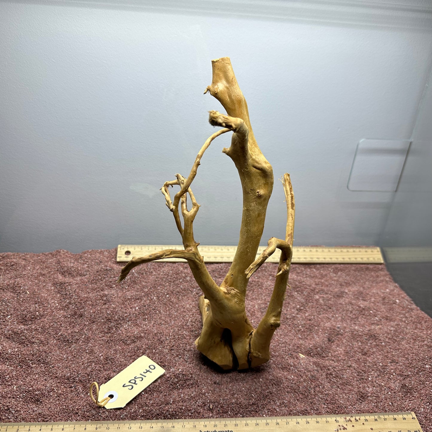 Spiderwood (Small)