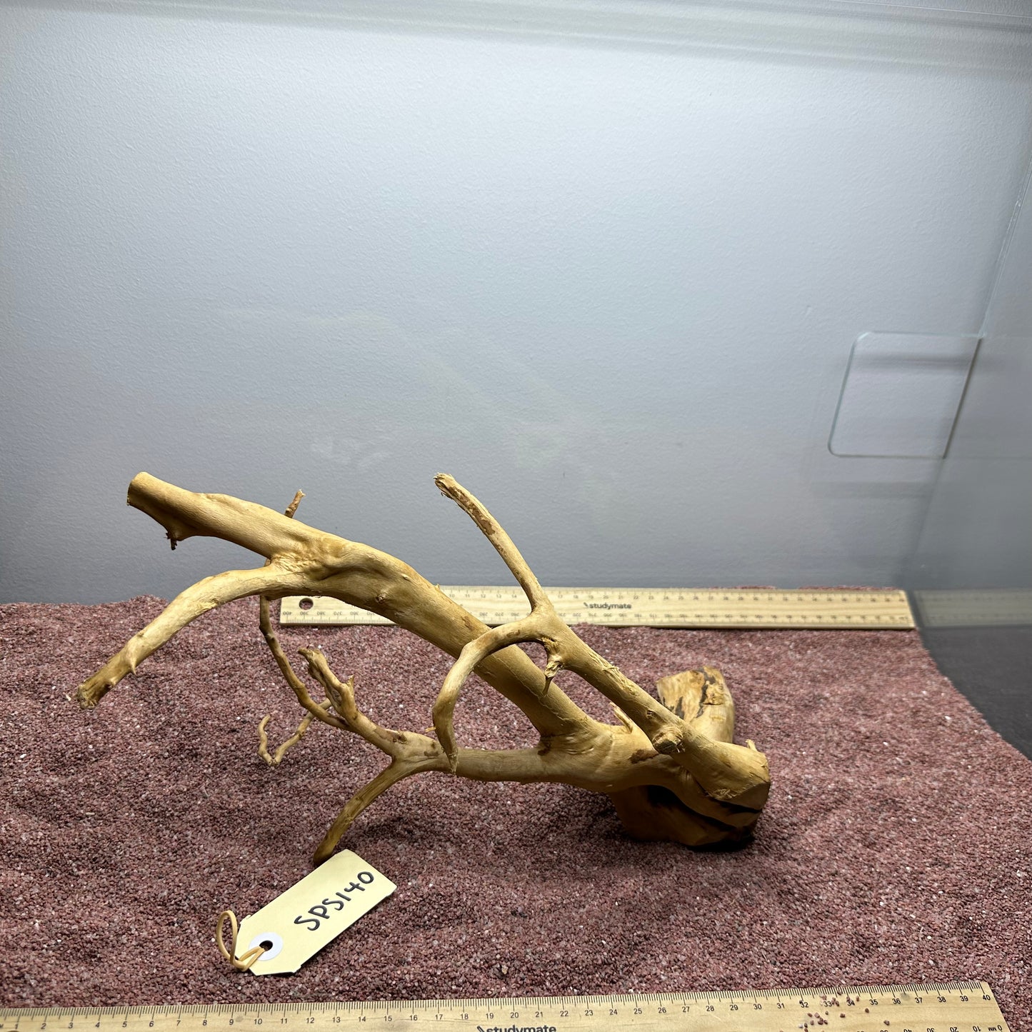 Spiderwood (Small)