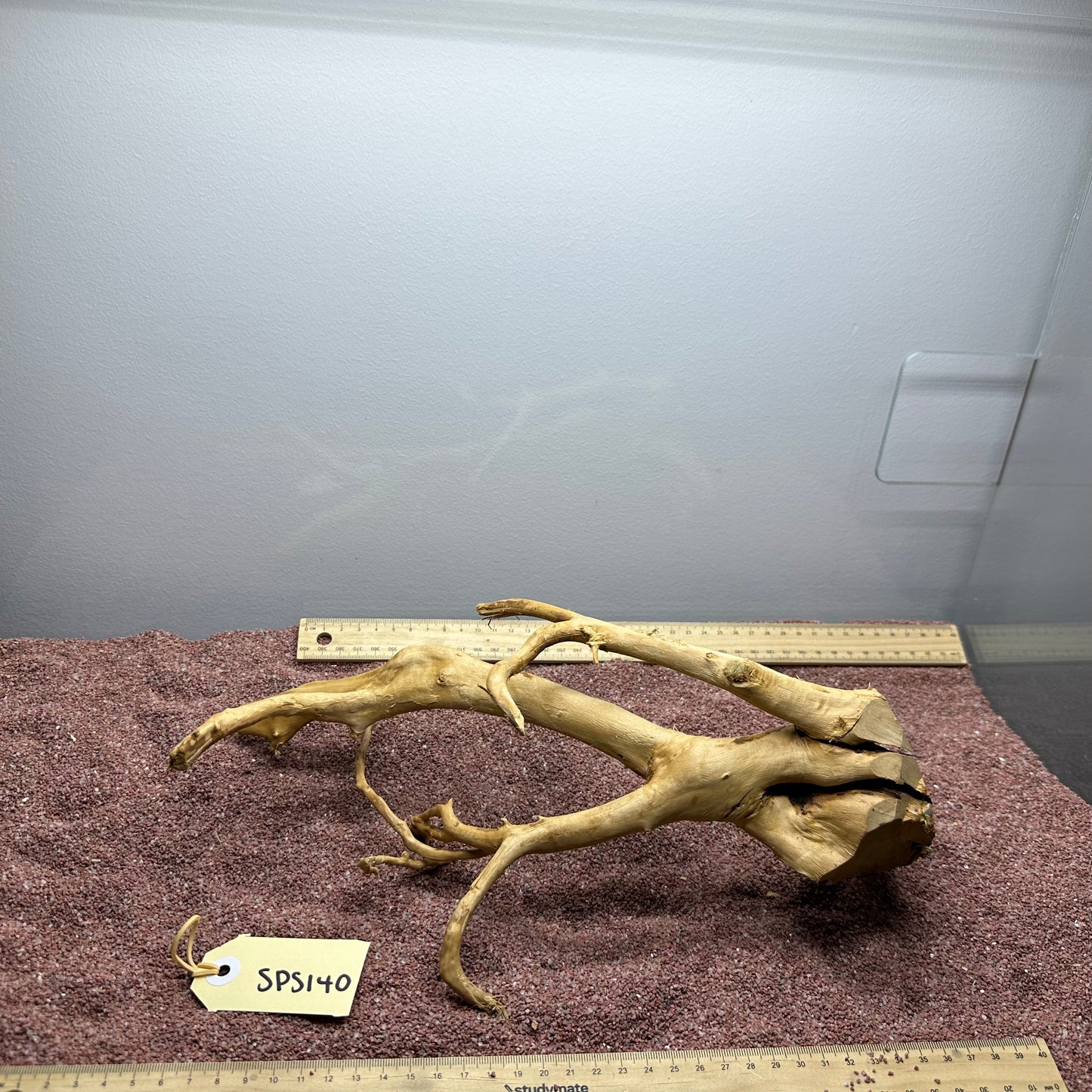 Spiderwood (Small)