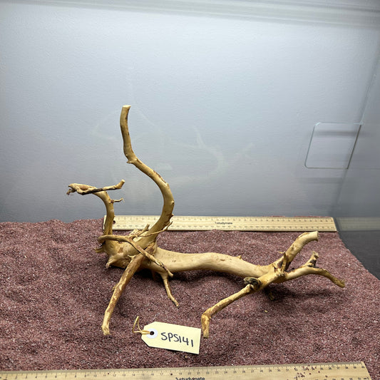 Spiderwood (Small)