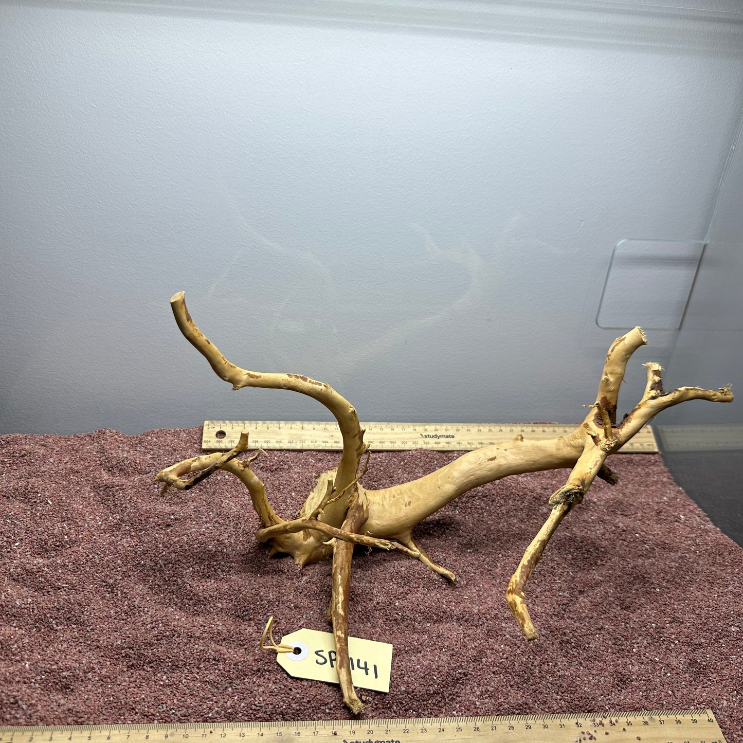 Spiderwood (Small)