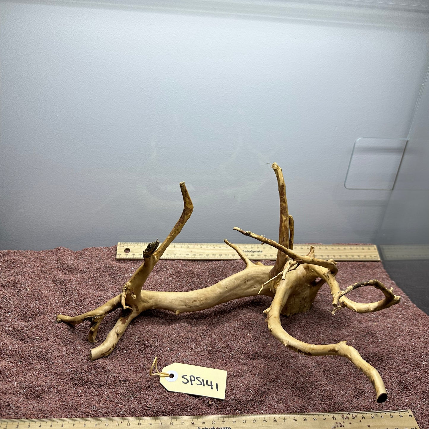 Spiderwood (Small)