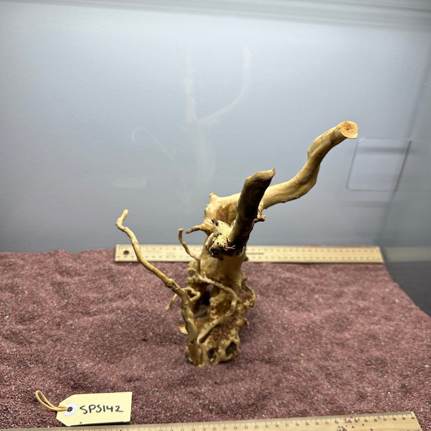 Spiderwood (Small)