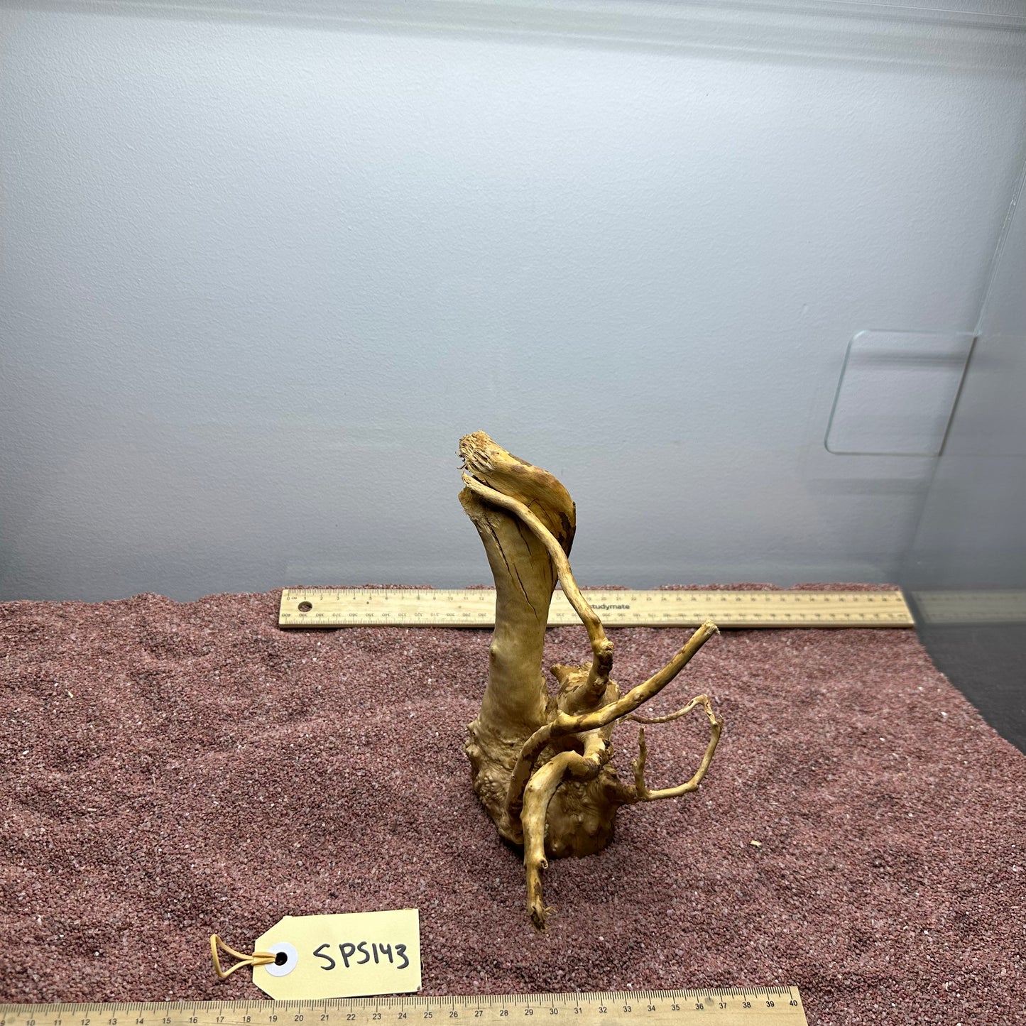 Spiderwood (Small)