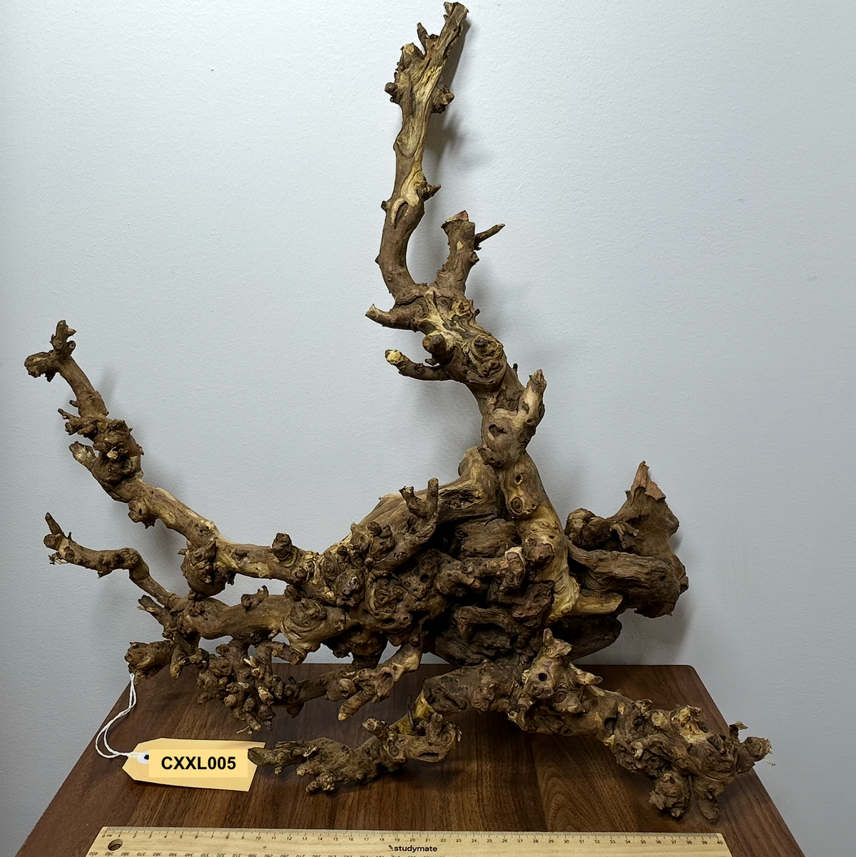 Coral Wood (XX Large)