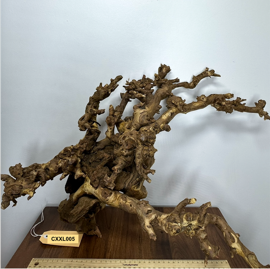 Coral Wood (XX Large)
