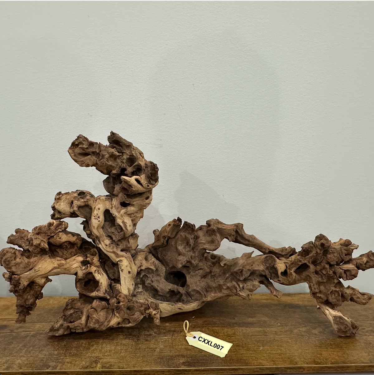 Coral Wood (XX Large)