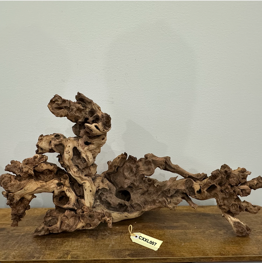 Coral Wood (XX Large)