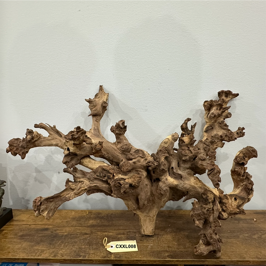Coral Wood (XX Large)
