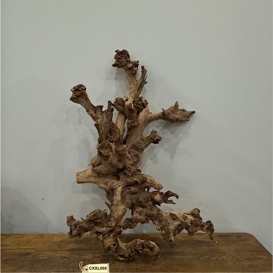 Coral Wood (XX Large)