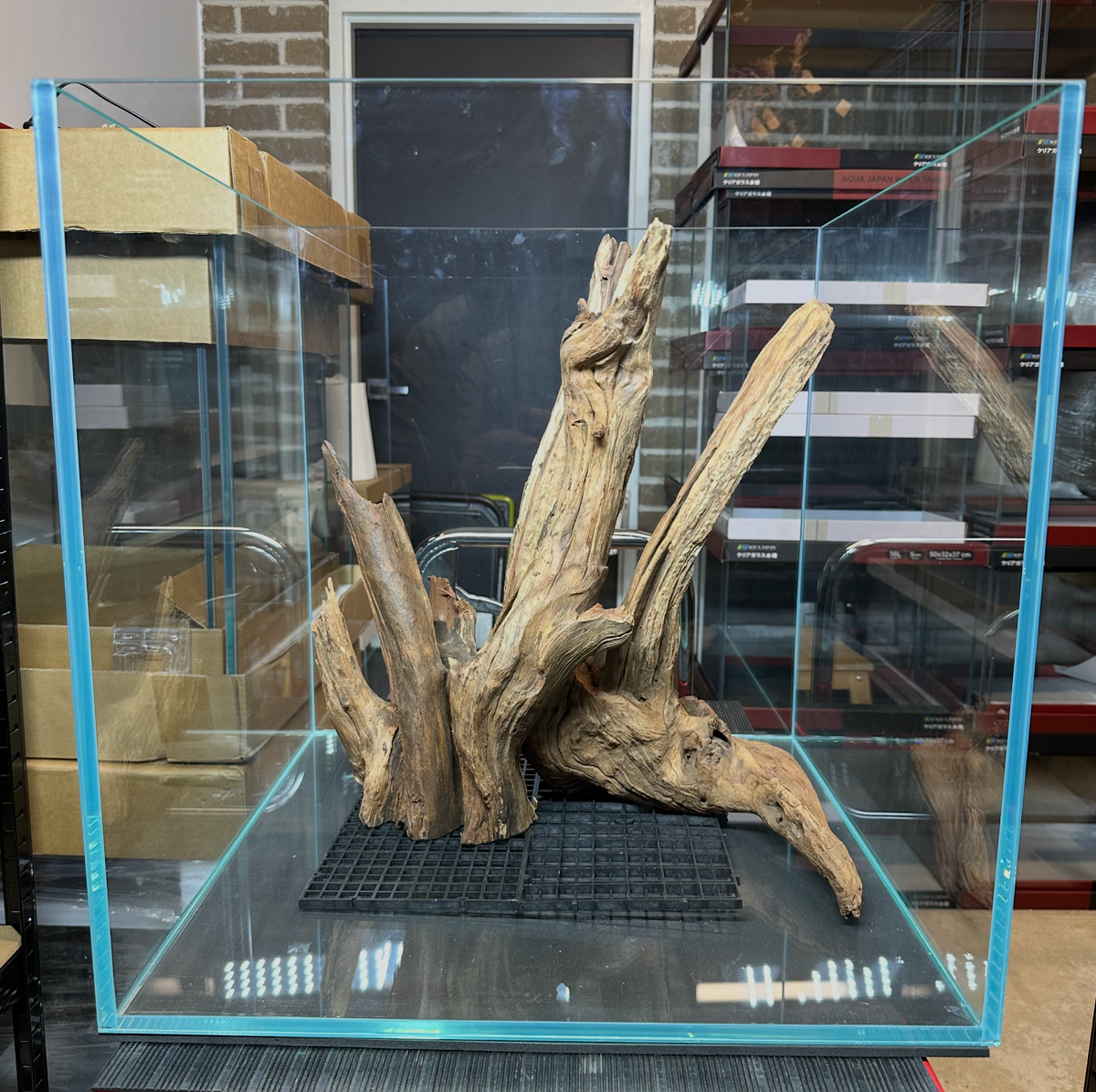 Aquascaped 50cm Cube #003